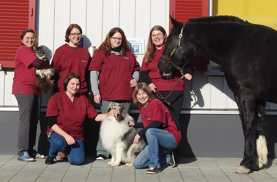 Team Tierarzt Praxis Lüthi: Sybil Lüthi - Bettina Alder - Petra Mathis - Christina Wespi - Olivia Peichl - Alina Raby
