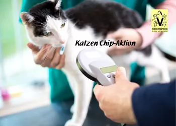 Katze Chip-Aktion 2024