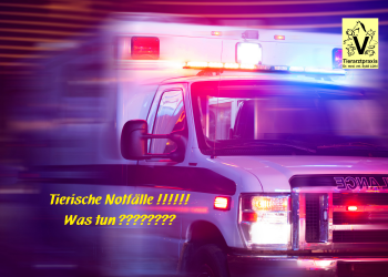 Tiersiche Notfälle